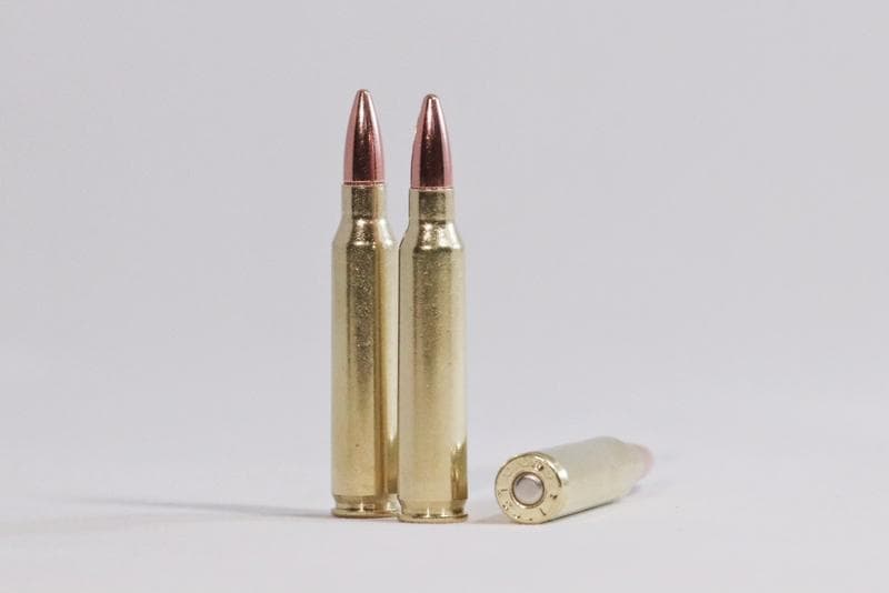 HSL Ammo (Code TA10)